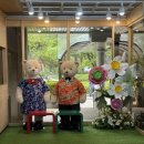 연수 대중탕 이미지