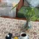 야외화장실 | 차 - 아디와나 우나기 스위트 룸서비스&amp; 스파 후기 (야외화장실 에바에요.), 몽키포레스트, 요아정, 등등