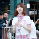 사쿠라