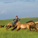 초원골프 이미지