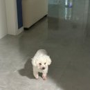 이삭토스트 노은반석점 | 4월 ② 예비시댁에서 살기 1주차