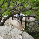 금산-63 이미지