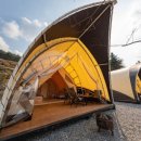 펫스페이스 이미지