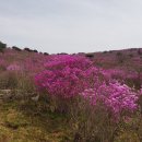 청도자연휴양림 이미지