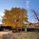 천주교 순례길 - 하논성당길 이미지