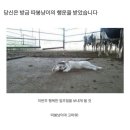 삼춘이야기노형점 | 잘먹었습니다이어트실패