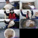 강구바다 이미지