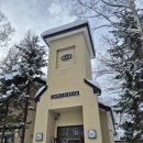 카앤코 | [삿포로 여행] 겨울 비에이 렌터카 자유여행 코스 총정리 (크리스마스 나무, 탁신관, 흰수염 폭포)