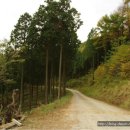 영화마을 이미지