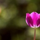 현준축산 이미지