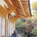 용명3리 이미지