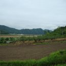 충주IC 이미지