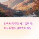 내장사민박 | 전국 단풍 절정 시기 총정리! 설악산·내장산·지리산 등 인기 명소 5곳 비교