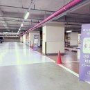 투어에스 - 부산진구 중앙대로990번길 8 | 투어에스