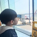 마치;선흘 | 4살 아이와 제주 여행 1일차 | 이스타항공 1열, 함덕해수욕장, 점봉여관