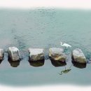 징검다리 이미지