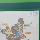 자이언트포레스트 | 중국 사천성 청두 - 자이언트 판다기지 여행 후기