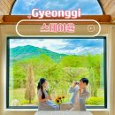 스테이율 이미지