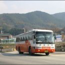 강화운수에서는 아직도 담배를 피누나 / 박철 이미지