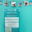 멍냥의민족인천