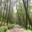 몰운대꼼장어 이미지