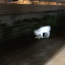 면옥당 이미지