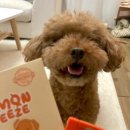 스푼풀코리아 이미지