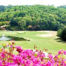 88컨트리클럽연습장 이미지