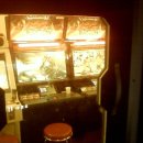 스타게임랜드 이미지