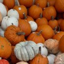 삼성초등학교 후문 앞2 이미지