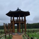 평해사구습지 이미지