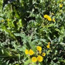 용동농장 이미지