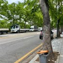 화랑유원지건너편 이미지