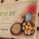 분당-363 이미지