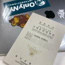 아크로 C·C HOTEL | #유럽/그리스 여행 | 체크리스트 : 국제운전면허증,렌트카,호텔 예약 완료 +현지 유심 구입정보