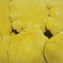 정의농장 이미지