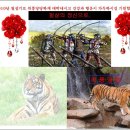 위풍당당