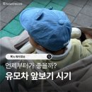 유모차 앞보기 시기 언제부터가 좋을까?
