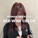 쿨헤어샵 이미지