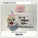 개 웃는날 | 수원 강아지 케이크 까까가개 커스텀 케이크 주문제작 후기