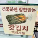 윤심이네 실비집 | [여수 맛집] 갓김치와 돼지고기의 환상 조합! '윤심이네 실비집' 관문점 솔직 후기