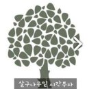 햇살인테리어 이미지