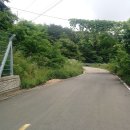 상나곡경로당 Daum카페