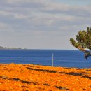 신천목장 이미지