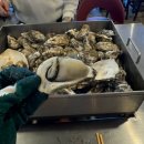 굴나라 | 보령 [청북 굴단지 맛집] 내돈내산 굴나라 솔직 후기 +주차