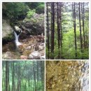 여주-0802 Daum카페