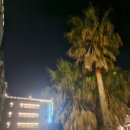 한림헬스케어 | [제주 한림/애월 대가족 숙소 추천] 에코 그린 리조트