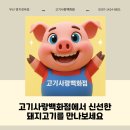 고려식육점 이미지