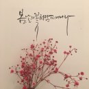 사각사각 손글씨사랑 이미지