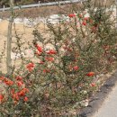 참어울림 이미지